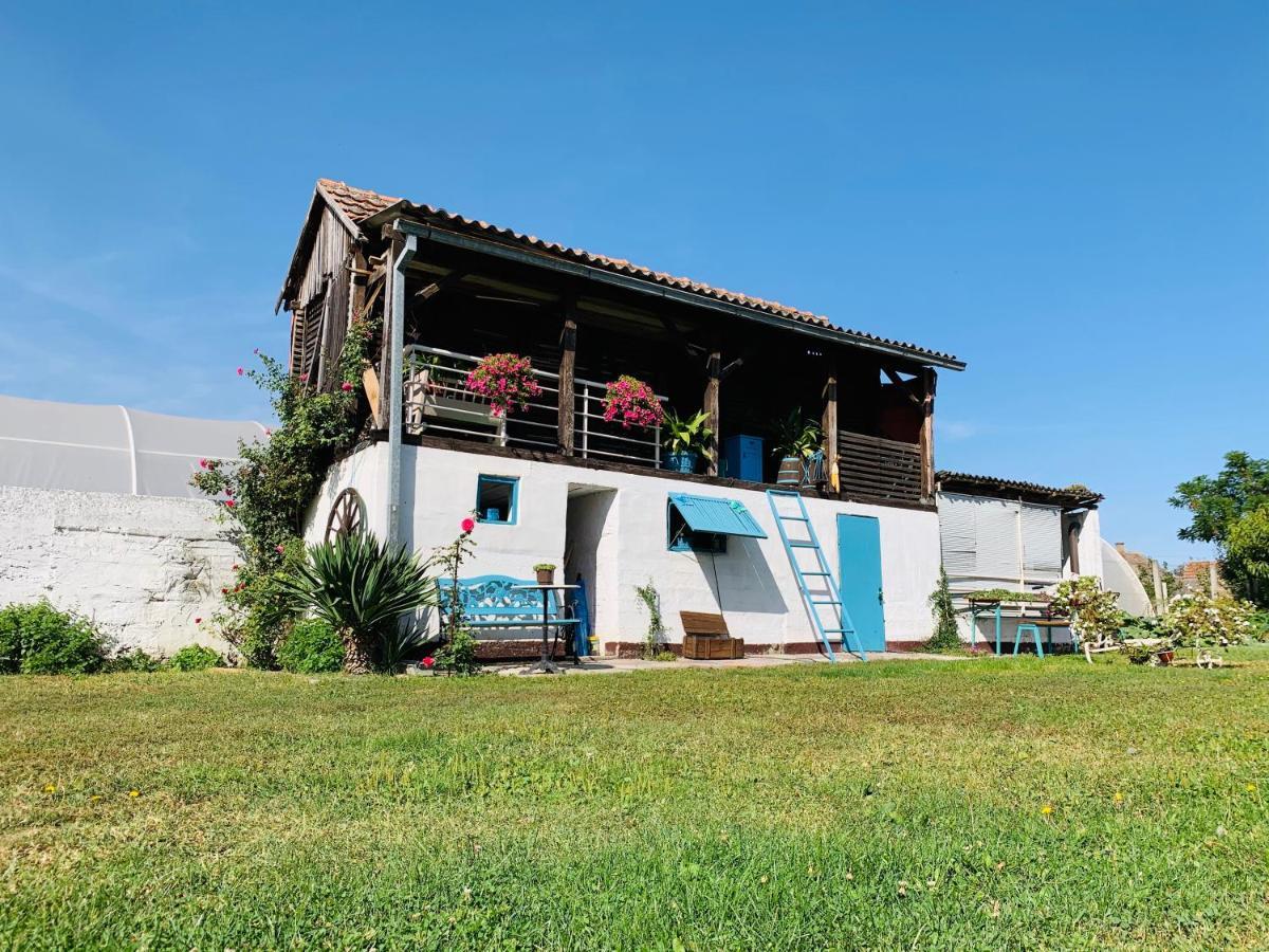 Appartamento Lux House Olga Ruma Esterno foto